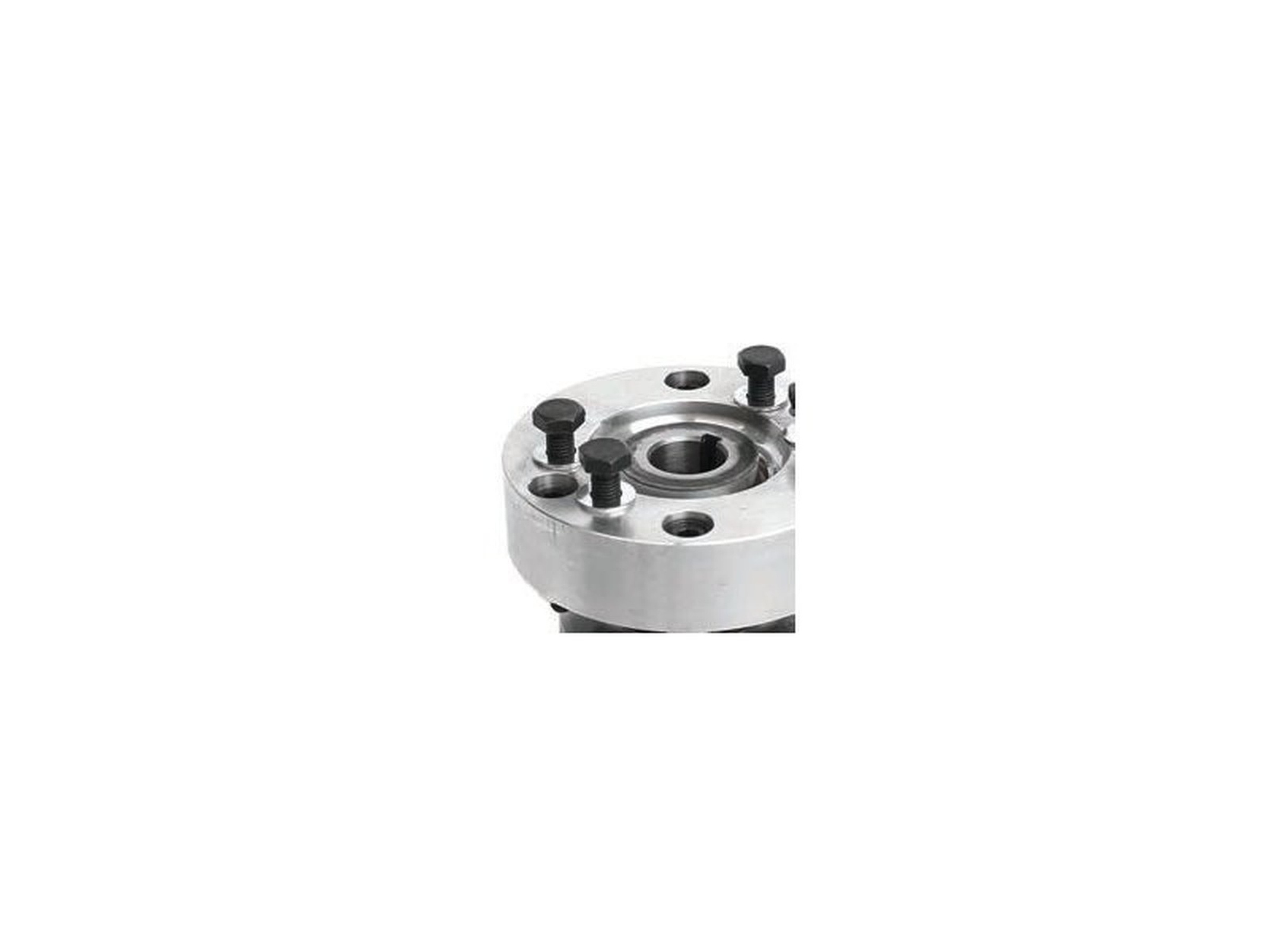 Piston Ram DN250 - 10161980