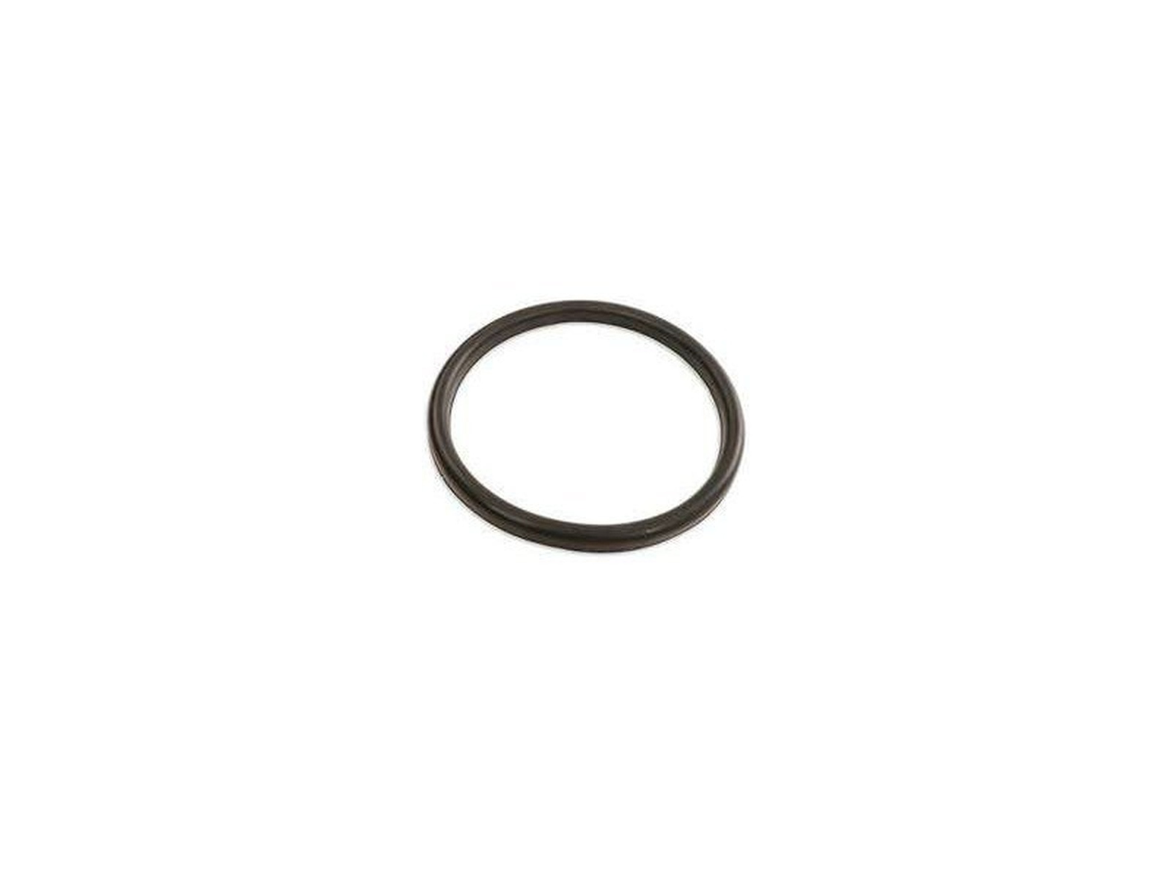Piston Ram DN230 - 10031492
